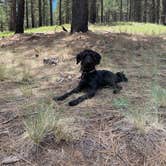 Review photo of Lake Mary Recreation Corridor by Magda S., July 18, 2020