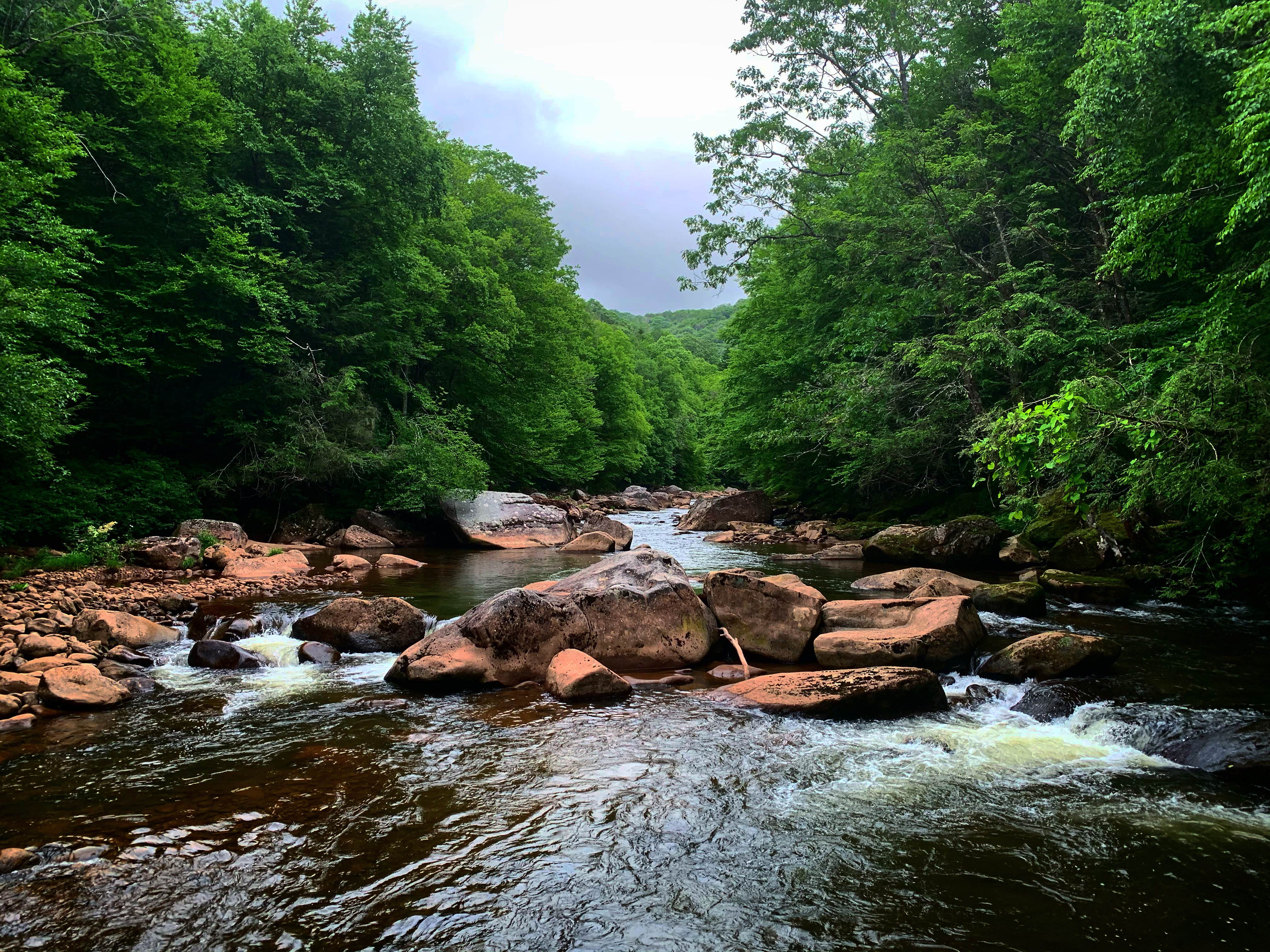 Tea Creek Campground The Dyrt