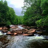 Review photo of Tea Creek Campground by Megan  B., July 18, 2020