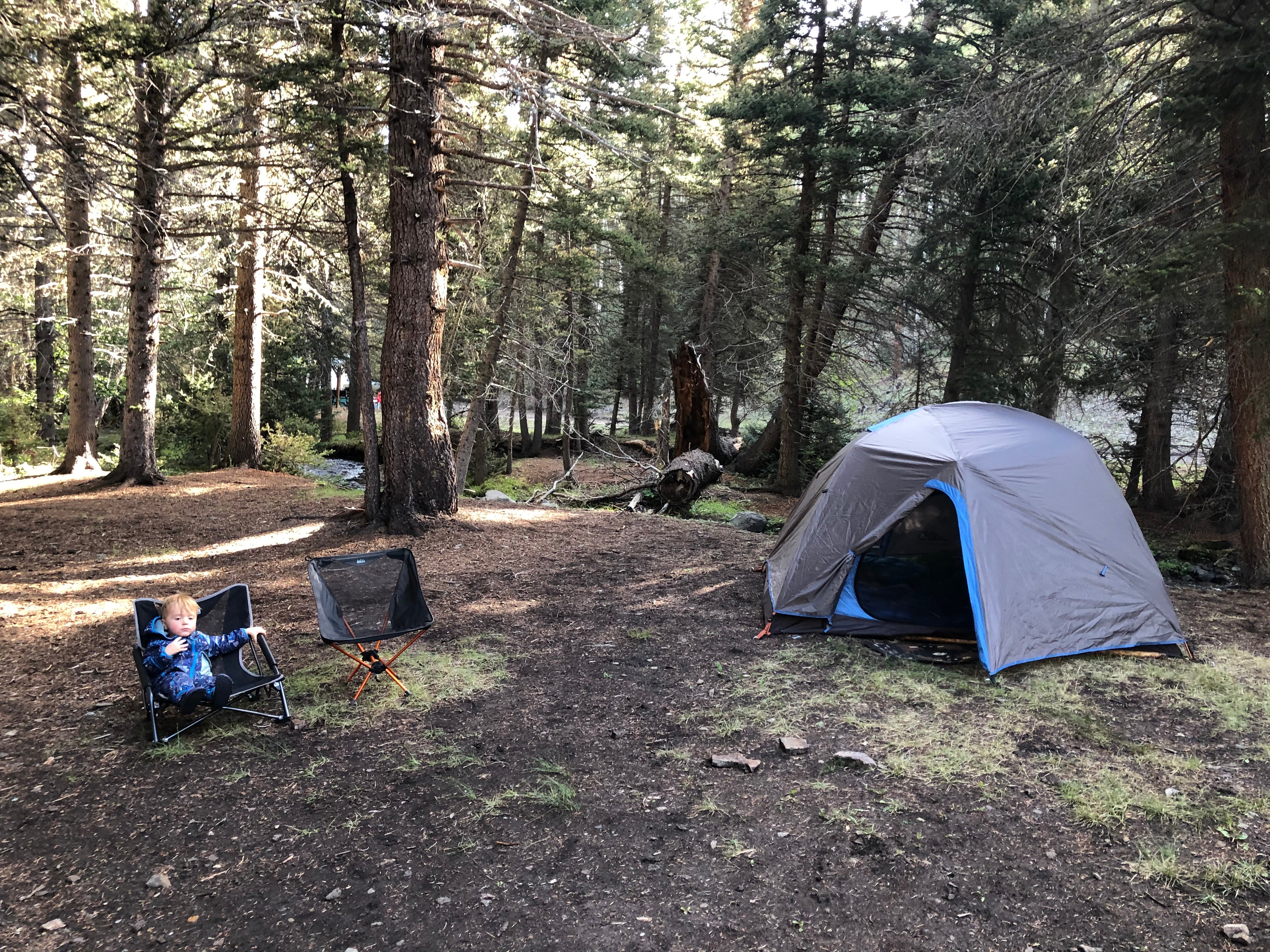 Camper submitted image from Rio Costilla Park - 4