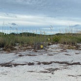 Review photo of Shell Key Preserve by Alyssa D., July 18, 2020