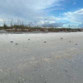 Review photo of Shell Key Preserve by Alyssa D., July 18, 2020