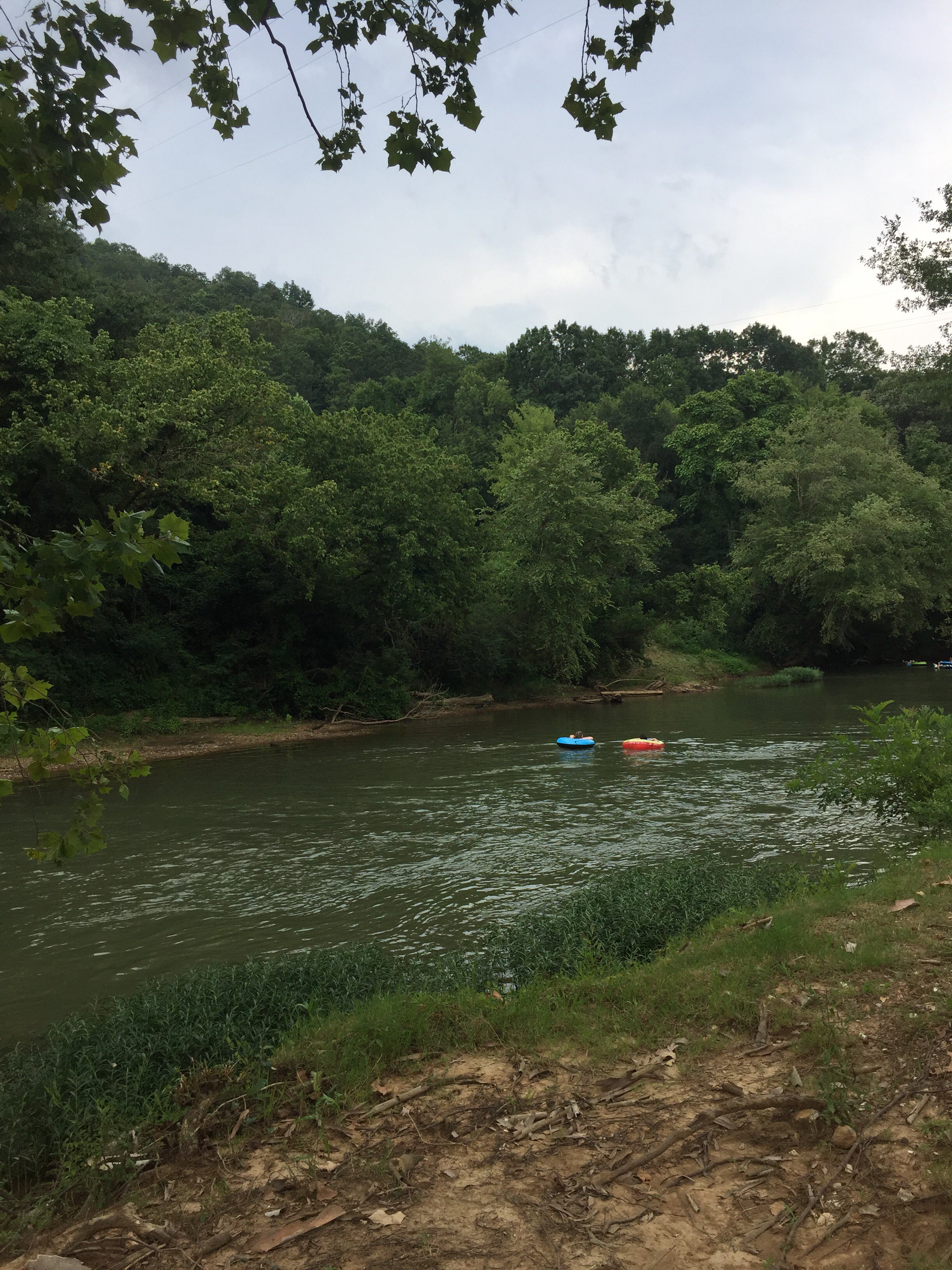 Camper submitted image from Big Wills Creek Campground and Tubing - 3