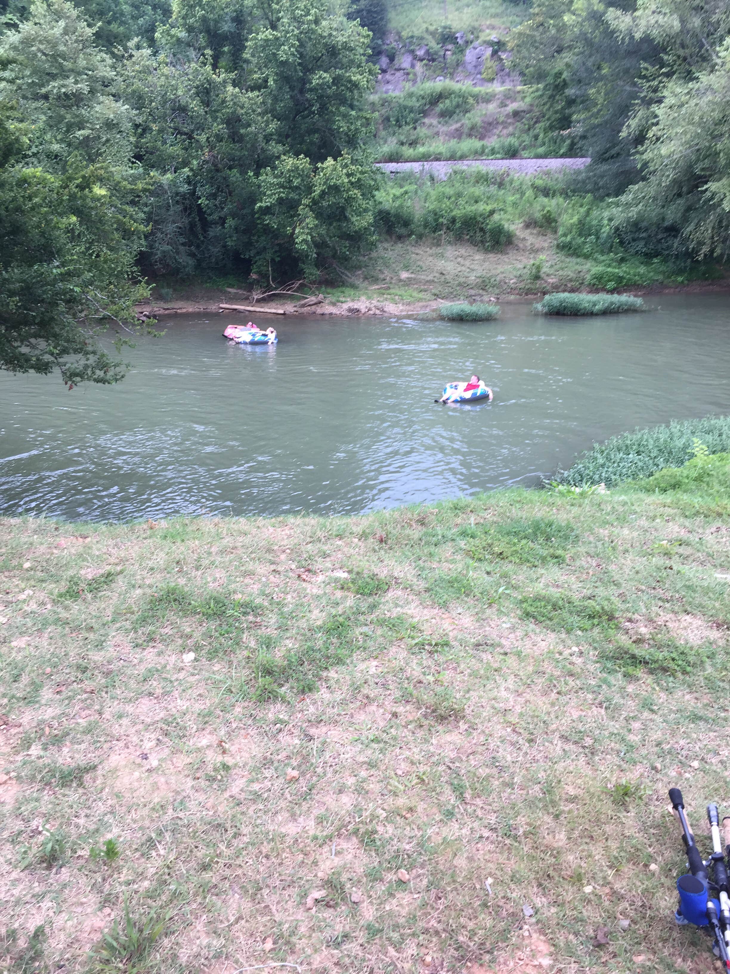 Camper submitted image from Big Wills Creek Campground and Tubing - 4