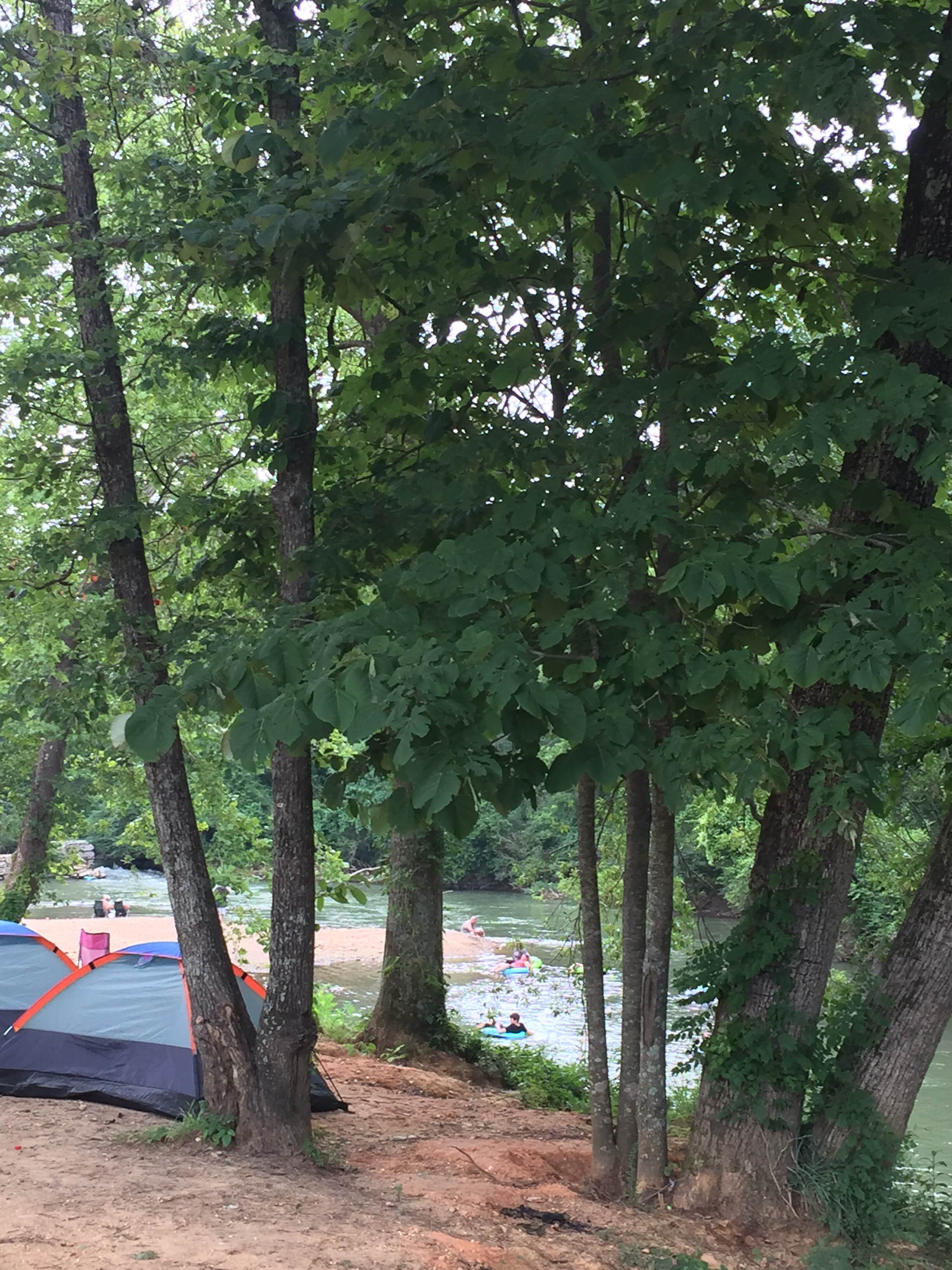 Sherry P.'s photo at Big Wills Creek Campground and Tubing near Albertville, AL