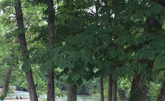 Sherry P.'s photo at Big Wills Creek Campground and Tubing near Collinsville, AL