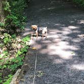 Review photo of Green Lakes State Park Campground by Kelly J., July 18, 2020