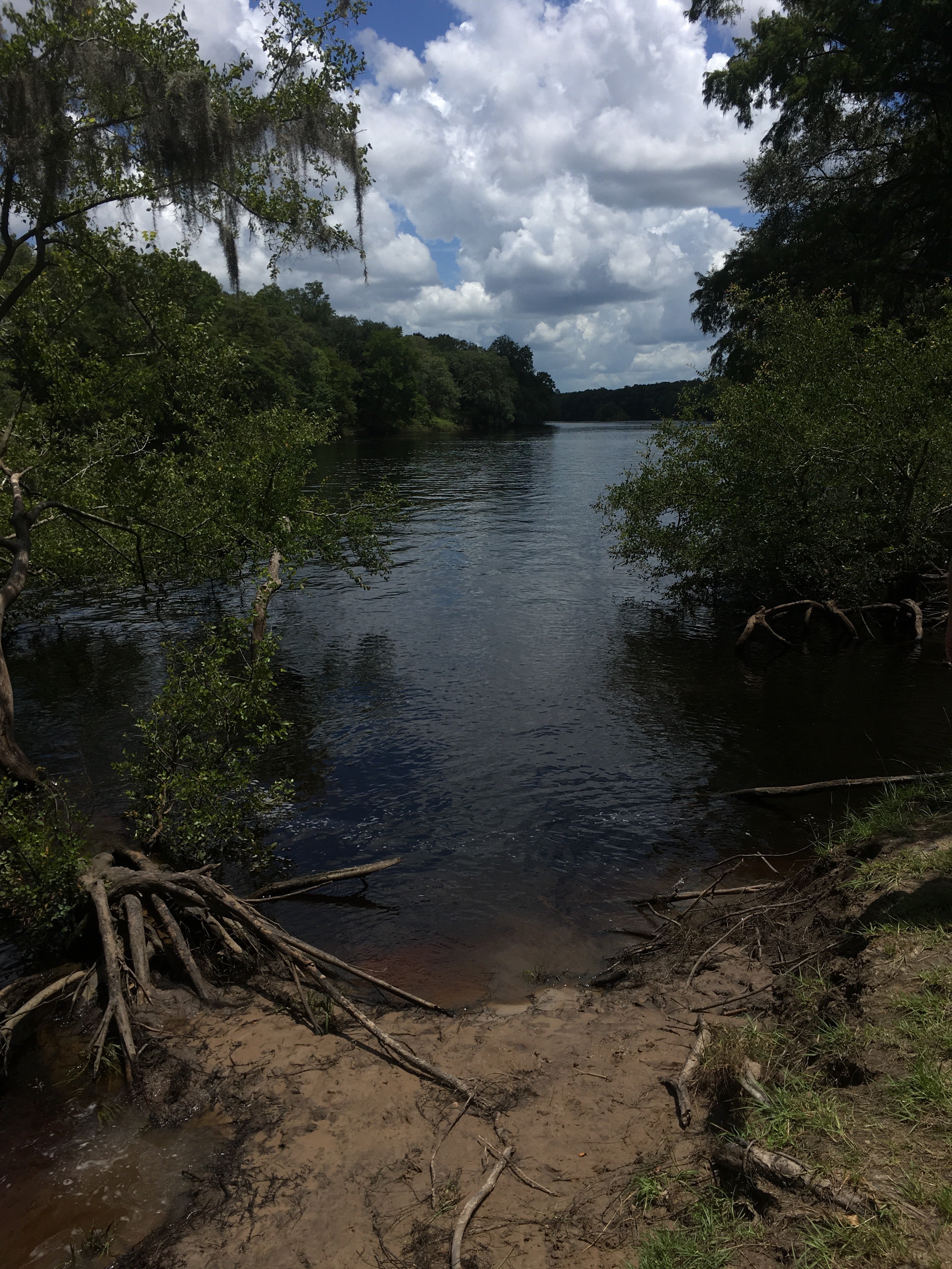 Camper submitted image from Suwannee River Rendezvous Resort - 2