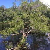 Review photo of Suwannee River Rendezvous Resort by Rosina E., July 19, 2020