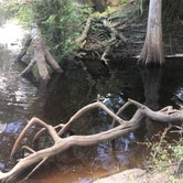 Review photo of Suwannee River Rendezvous Resort by Rosina E., July 19, 2020