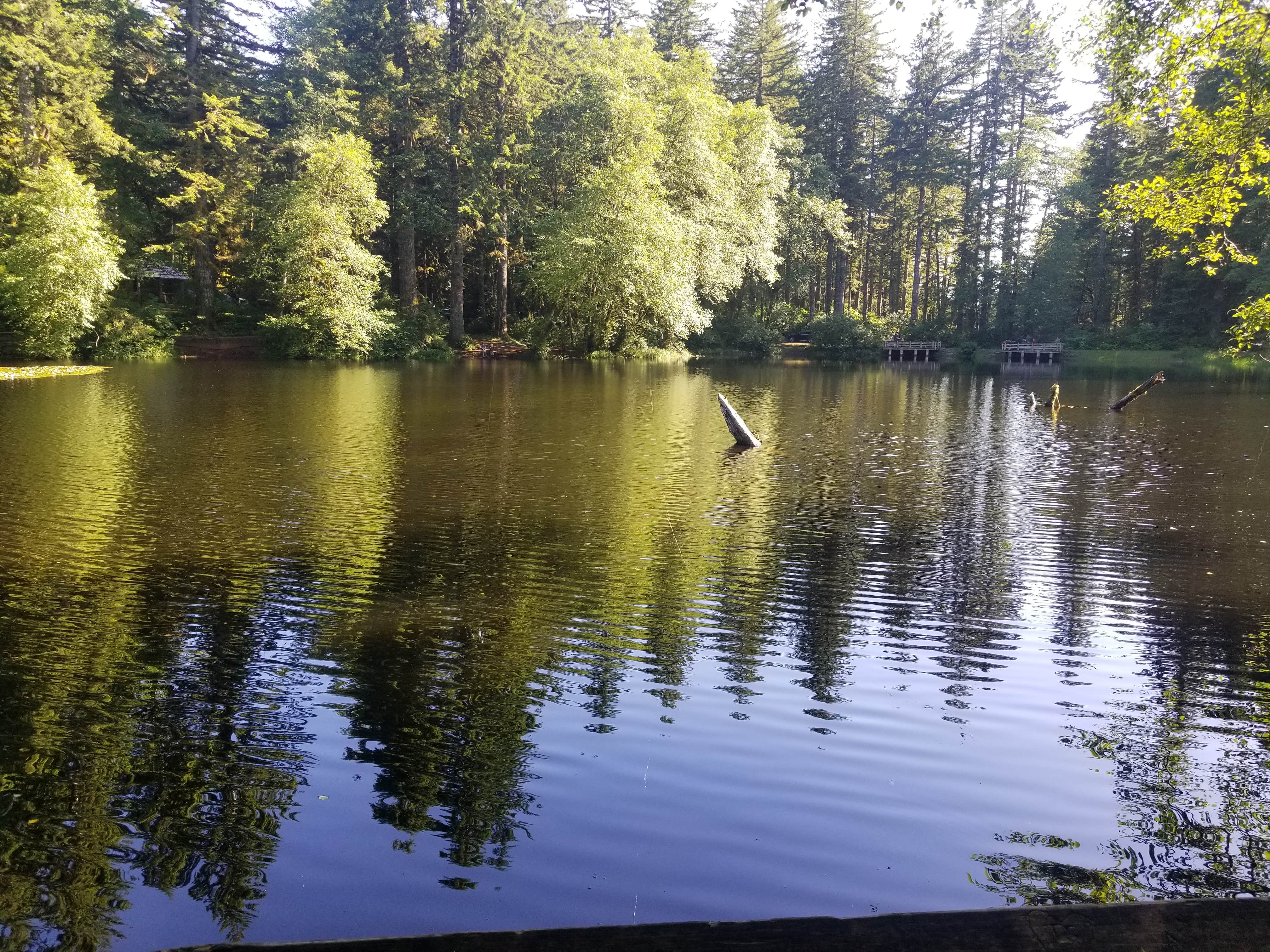 Camper submitted image from Hebo Lake Campground - 2