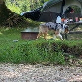 Review photo of Jessie Lea RV Park and Campground by Lauren J., July 19, 2020