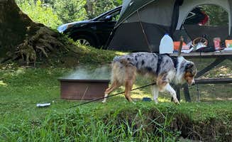 Lauren J.'s photo at Jessie Lea RV Park and Campground near John W. Flannagan Dam and Reservoir