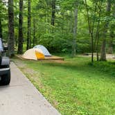 Review photo of Cades Cove Campground by Elizabeth G., July 19, 2020