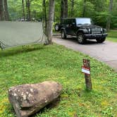 Review photo of Cades Cove Campground by Elizabeth G., July 19, 2020