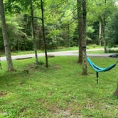 Review photo of Cades Cove Campground by Elizabeth G., July 19, 2020