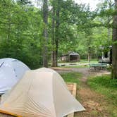 Review photo of Cades Cove Campground by Elizabeth G., July 19, 2020