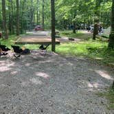 Review photo of Cades Cove Campground by Elizabeth G., July 19, 2020