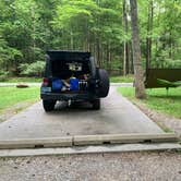 Review photo of Cades Cove Campground by Elizabeth G., July 19, 2020