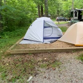 Review photo of Cades Cove Campground by Elizabeth G., July 19, 2020