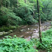 Review photo of Curtis Creek Campground by Elizabeth G., July 8, 2020