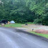 Review photo of Curtis Creek Campground by Elizabeth G., July 8, 2020