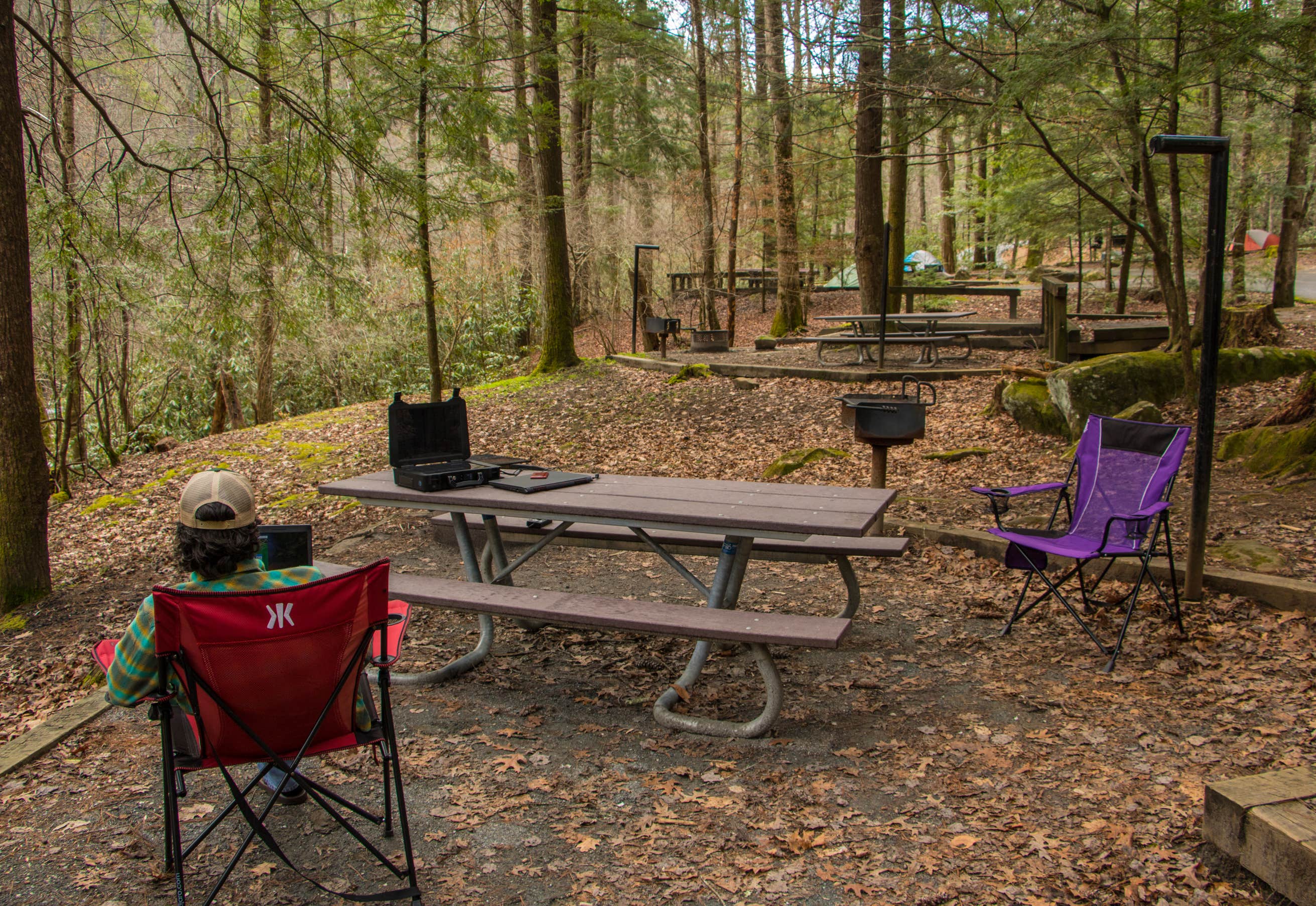 Horse Cove Campground The Dyrt