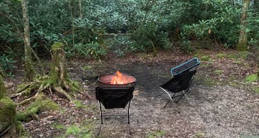 Bear Tree Recreation Area