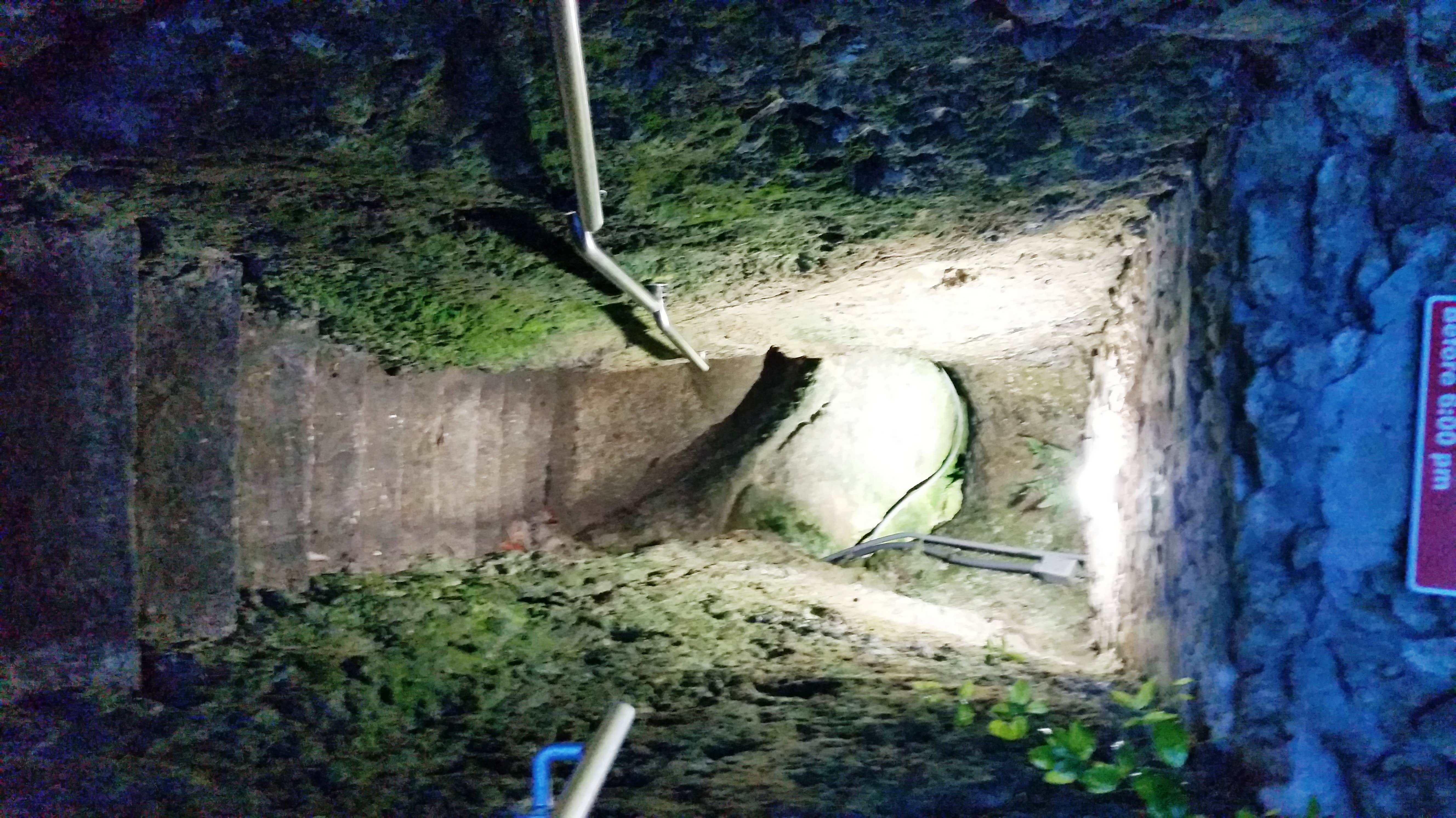 Camper submitted image from Devil's Den Spring - 3