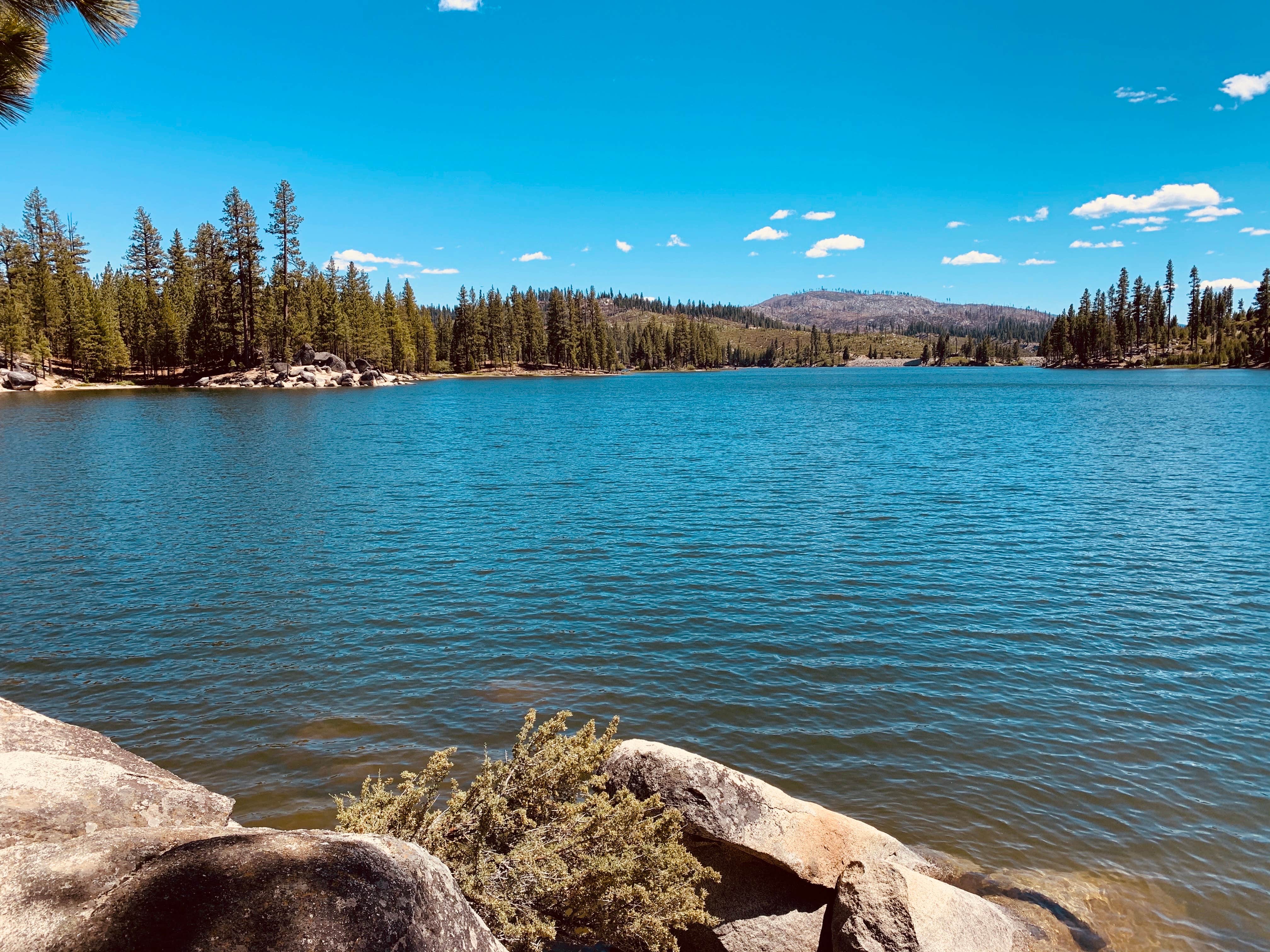 Camper-submitted photo at Lone Rock Campground near Susanville, CA