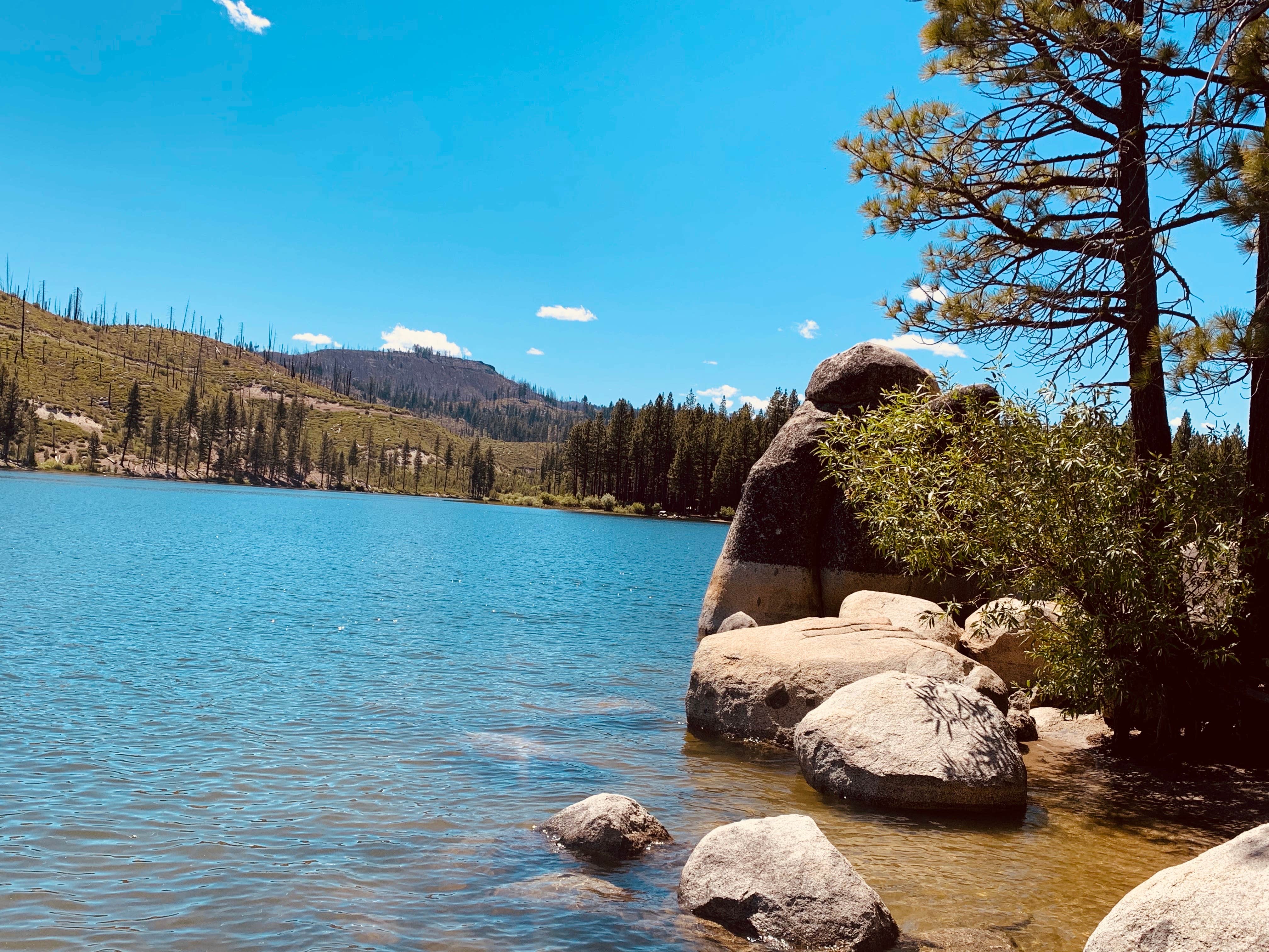 Camper-submitted photo at Lone Rock Campground near Susanville, CA