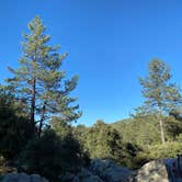 Review photo of Green Valley Campground — Cuyamaca Rancho State Park by Cristina  M., July 19, 2020