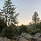 Review photo of Green Valley Campground — Cuyamaca Rancho State Park by Cristina  M., July 19, 2020