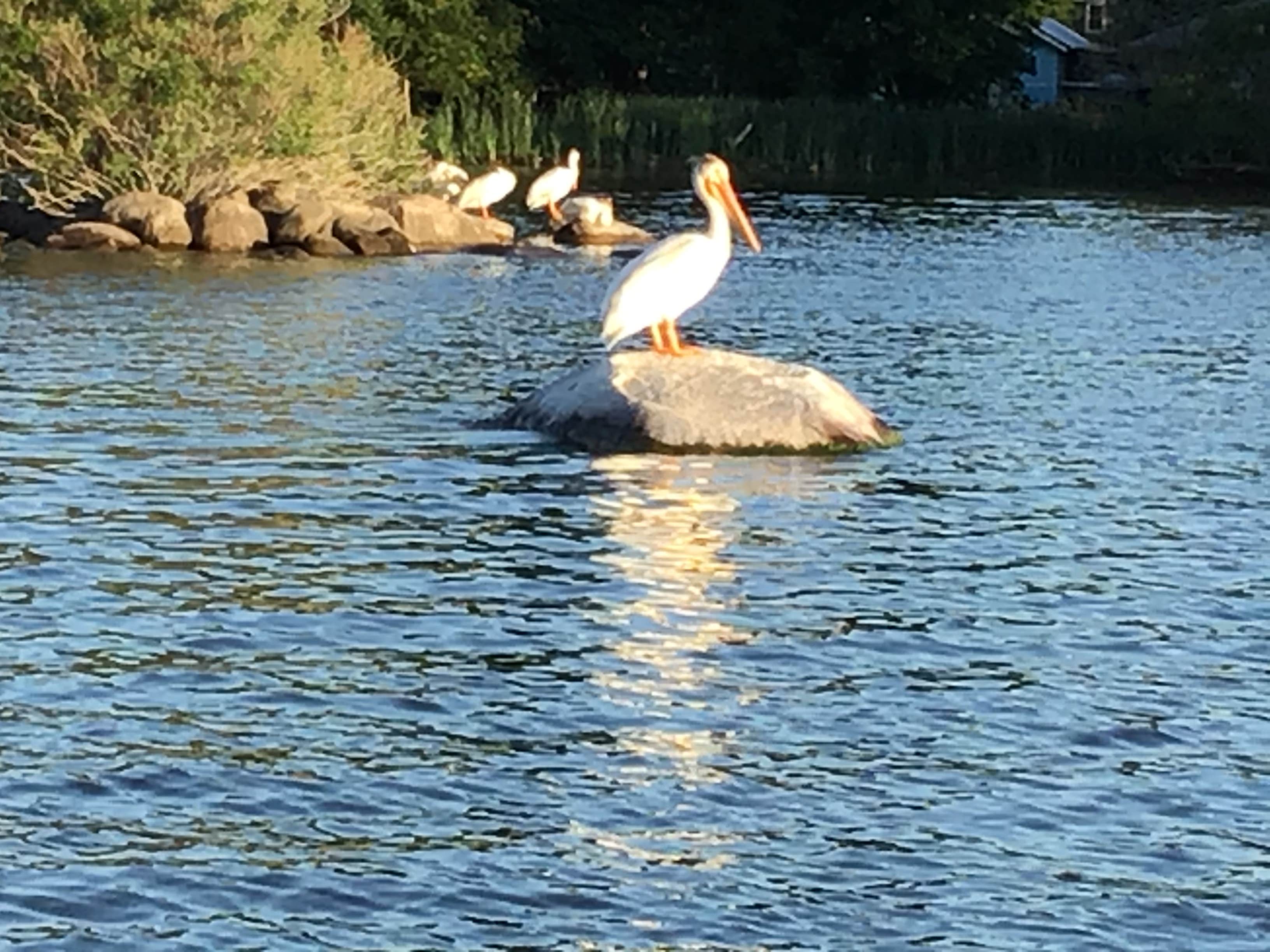 Camper-submitted photo at Camping 109 RV Park near Corona, SD