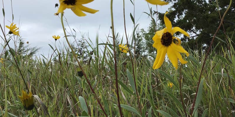 Camper submitted image from Camping 109 RV Park