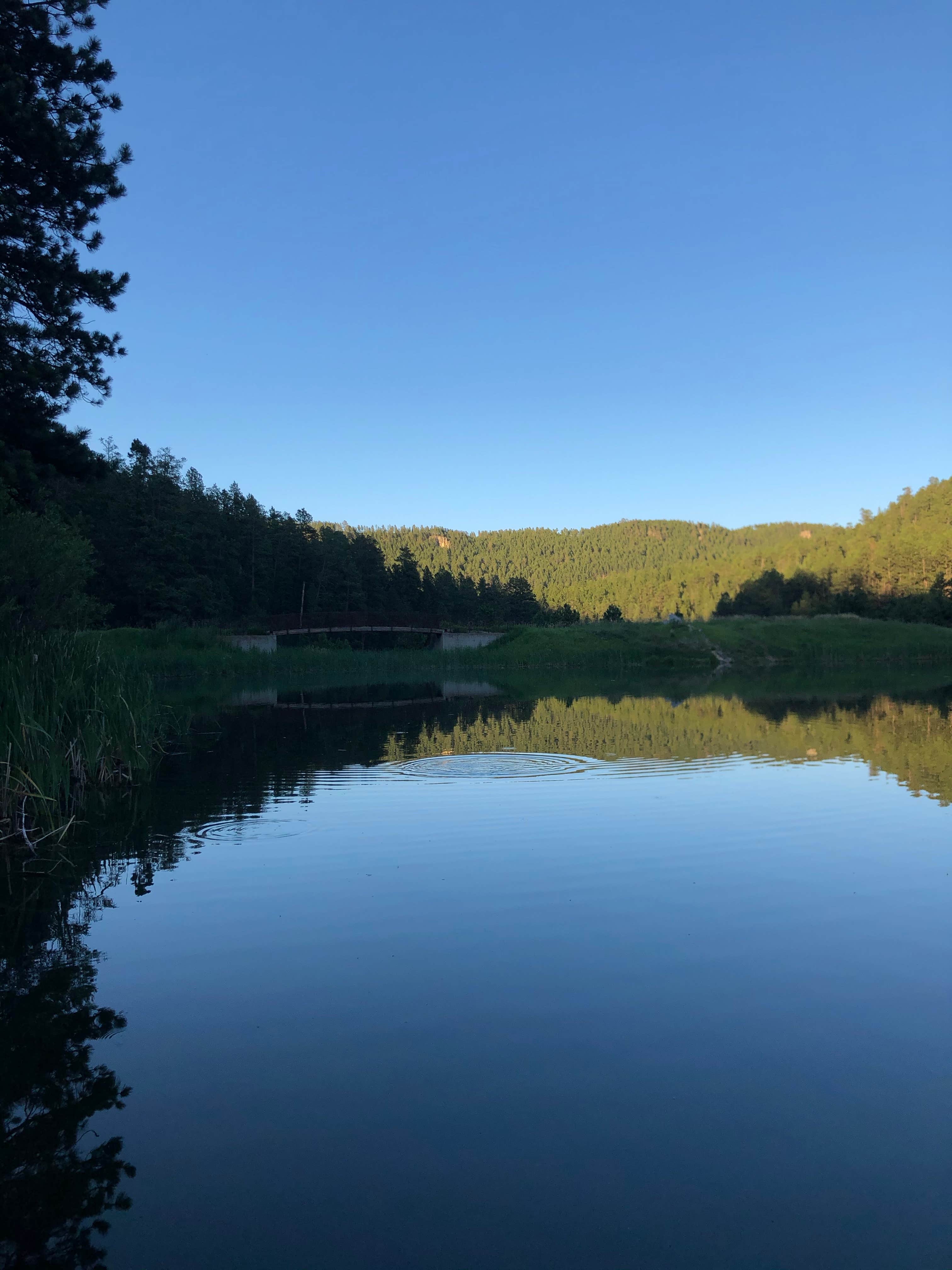 Camper submitted image from Dalton Lake Campground — Black Hills National Forest - 4