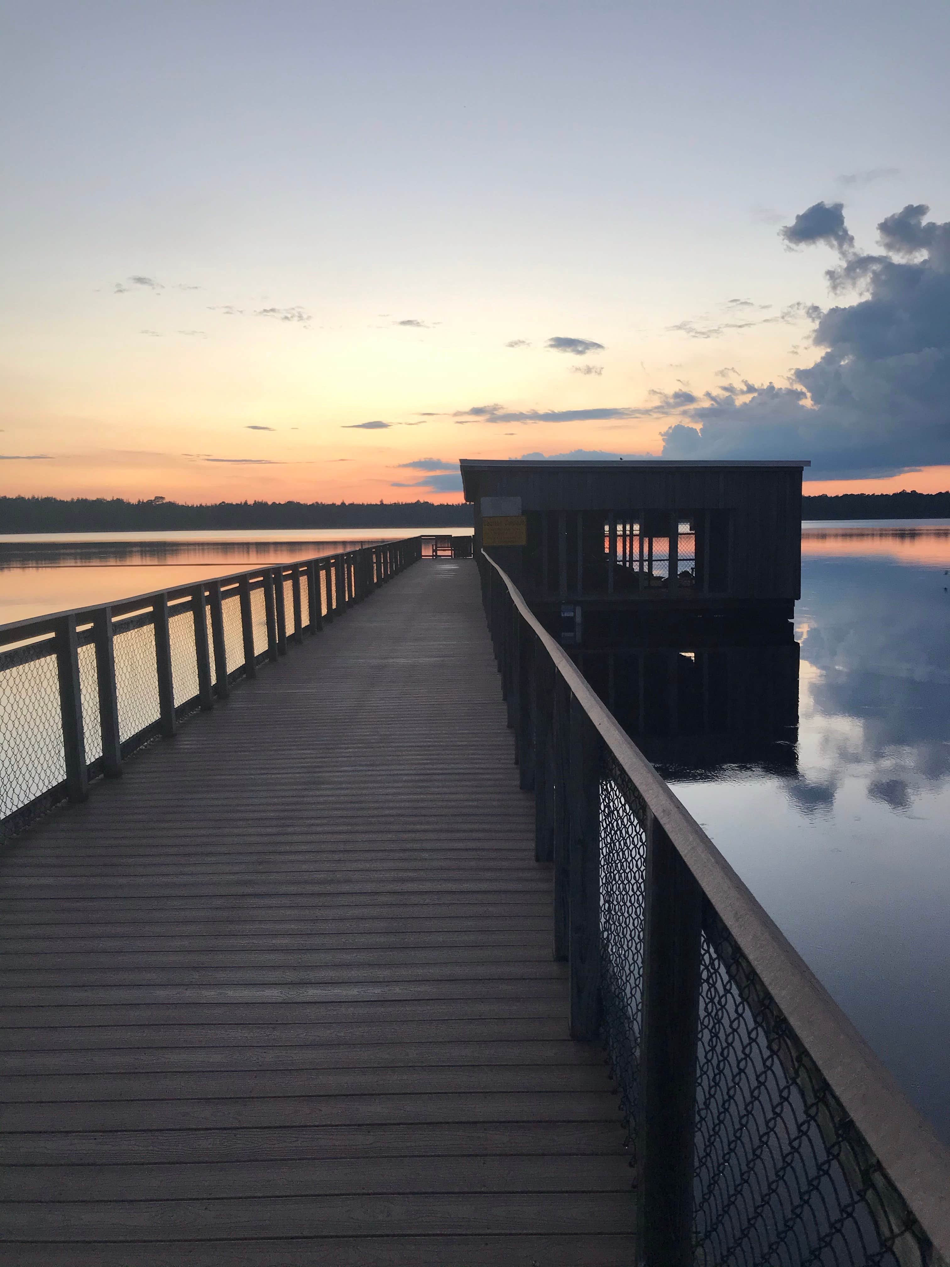 Camper-submitted photo at Jones Lake State Park Campground near Harrells, NC