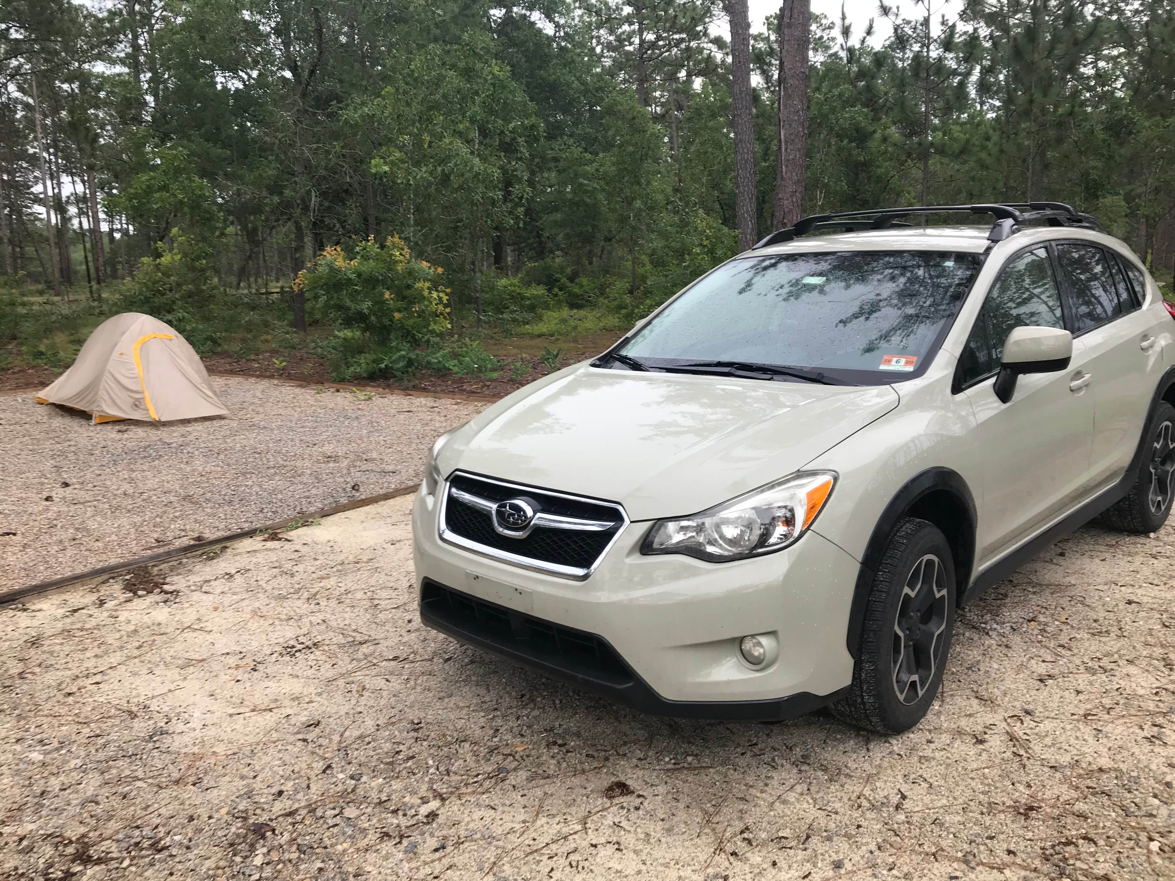 Patrice Z.'s photo at Jones Lake State Park Campground near Harrells, NC