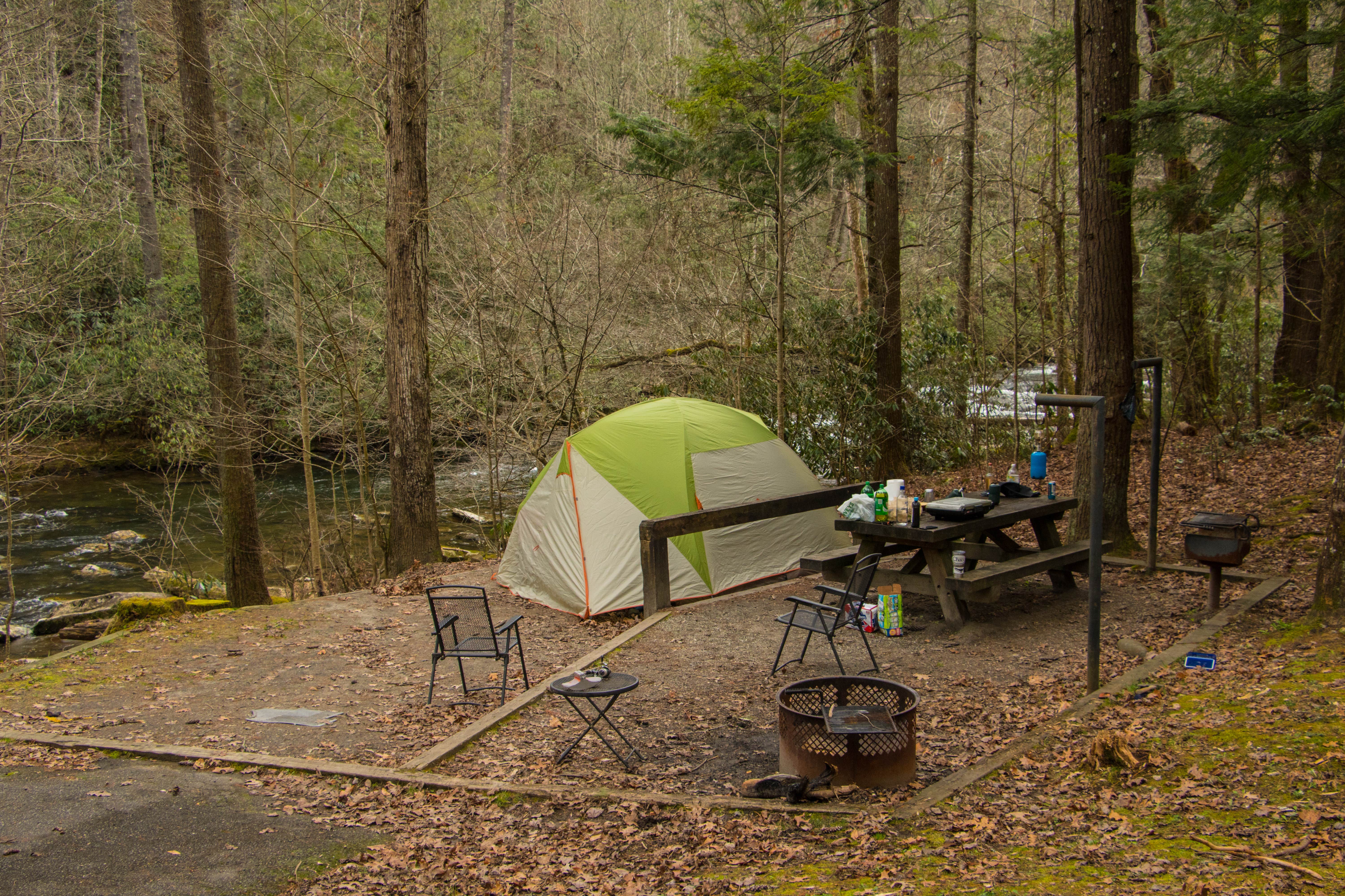 Shari  G.'s photo at Horse Cove near Fontana Dam, NC