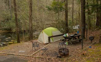 Shari G.'s photo at Horse Cove near Croatan National Forest