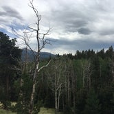 Review photo of Mueller State Park Campground by Jill C., July 19, 2020
