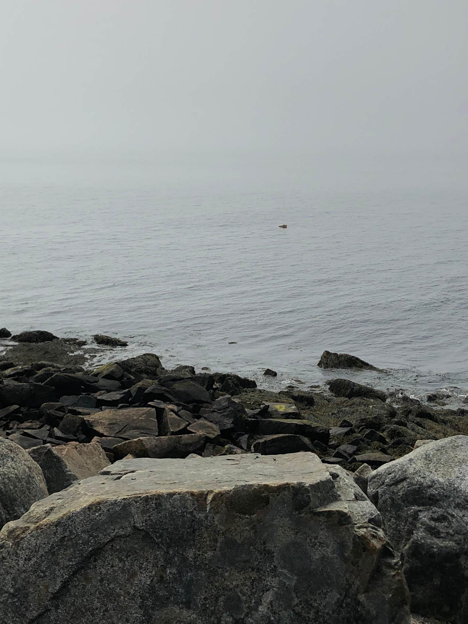 Camper-submitted photo at Acadia East Campground near Birch Harbor, ME