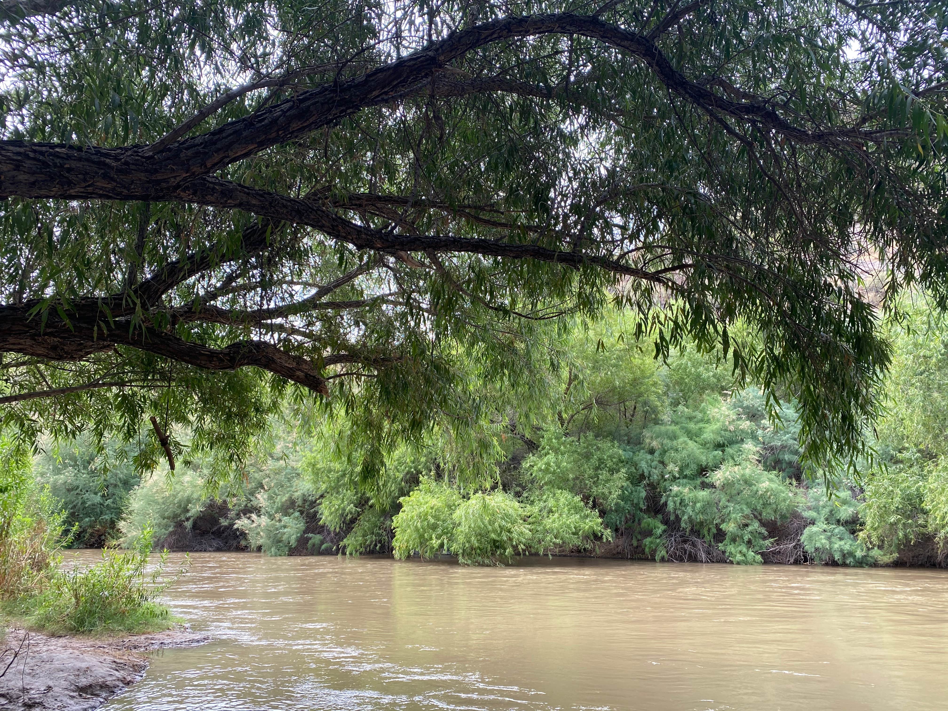 Camper-submitted photo at Shores Recreation Area near Queen Valley, AZ