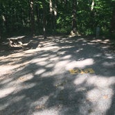 Review photo of Turkey Run State Park Campground — Turkey Run State Park by Michelle  M., July 19, 2020