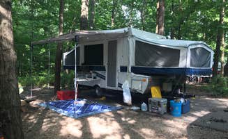 Michelle  M.'s photo at Turkey Run State Park Campground near Danville, IL