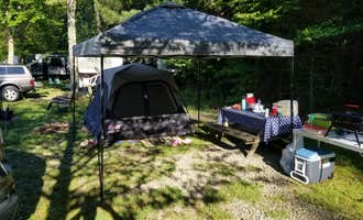 Camping near Kellettville Recreation Area (PA): Forest Ridge Campground, Marienville, Pennsylvania