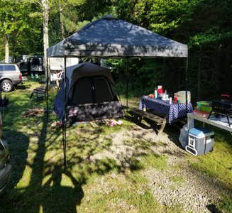 Camper-submitted photo from Forest Ridge Campground