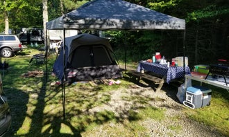 Camping near Cook Forest State Park: Forest Ridge Campground, Marienville, Pennsylvania