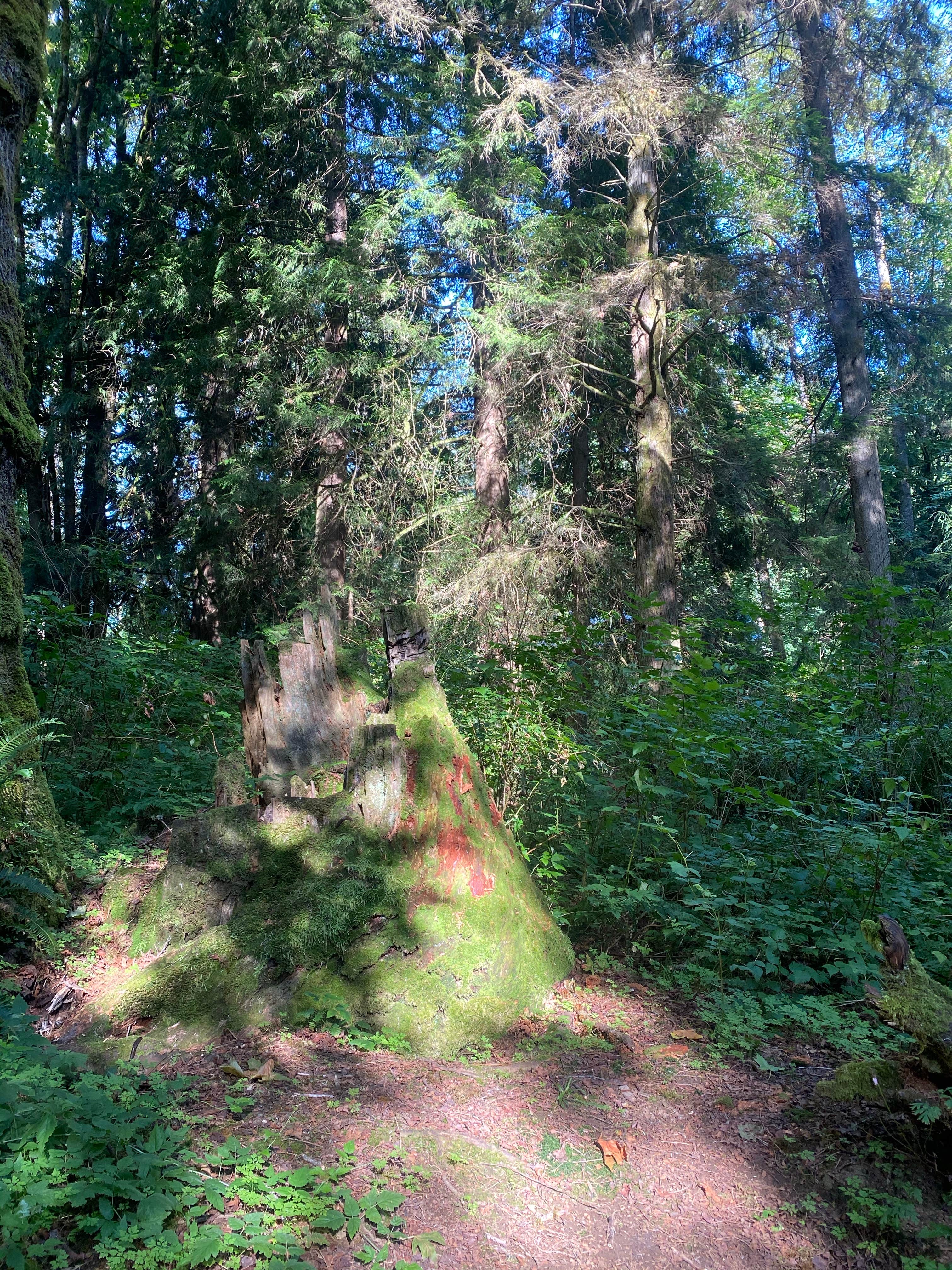 Camper-submitted photo at Flowing Lake Park & Campground near Marysville, WA