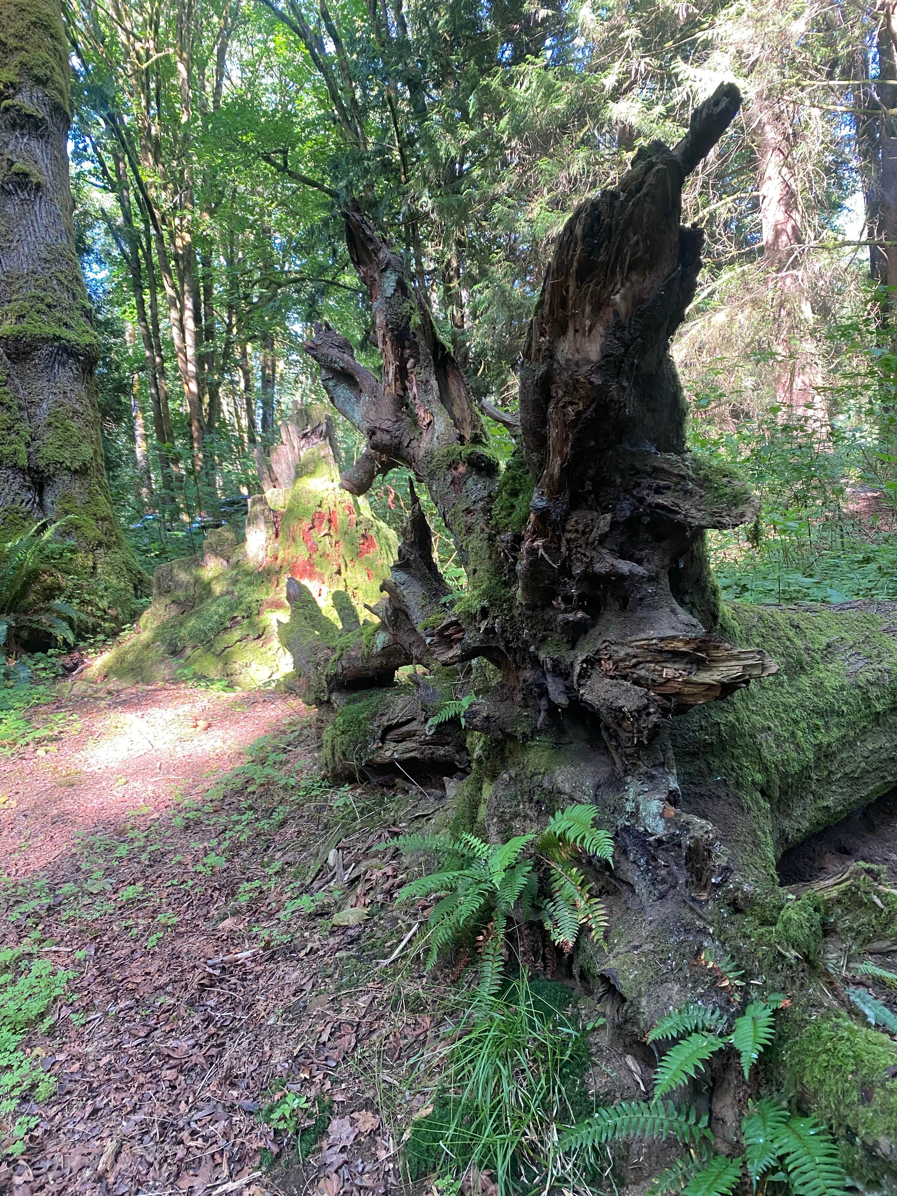 Camper-submitted photo at Flowing Lake Park & Campground near Marysville, WA